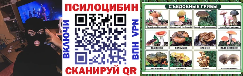 продажа наркотиков  Южно-Сухокумск  Галлюциногенные грибы Psilocybe 